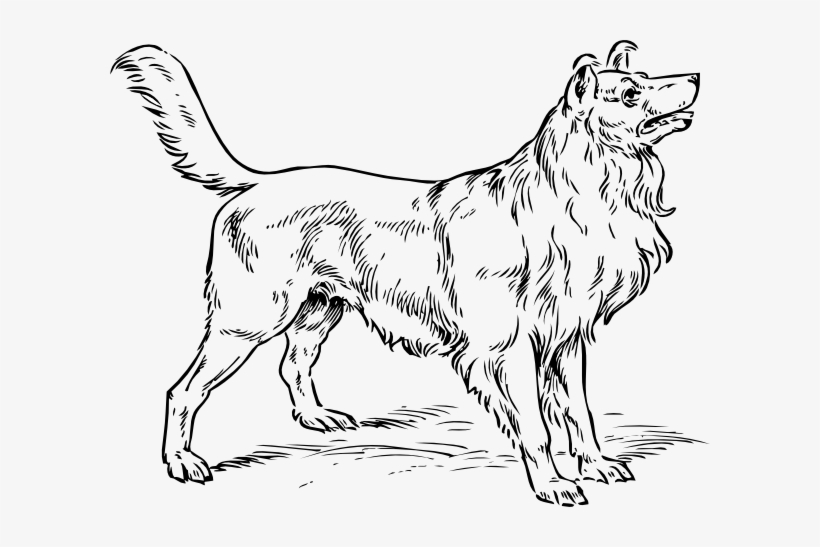820x547 Simple Dog Outline - Dog Black And White Drawing