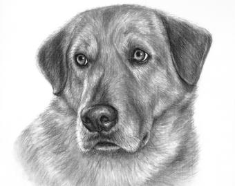 340x270 Custom Pet Drawing Etsy - Dog Black And White Drawing