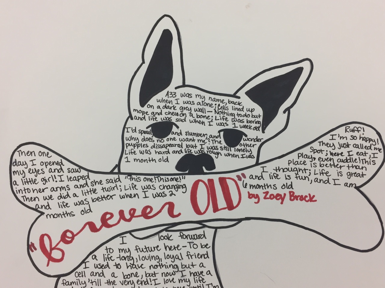 1280x960 Dog Bone Drawing Poetry Lesson Animal Shape Poems Azedabooth Dog - Dog Bone Drawing