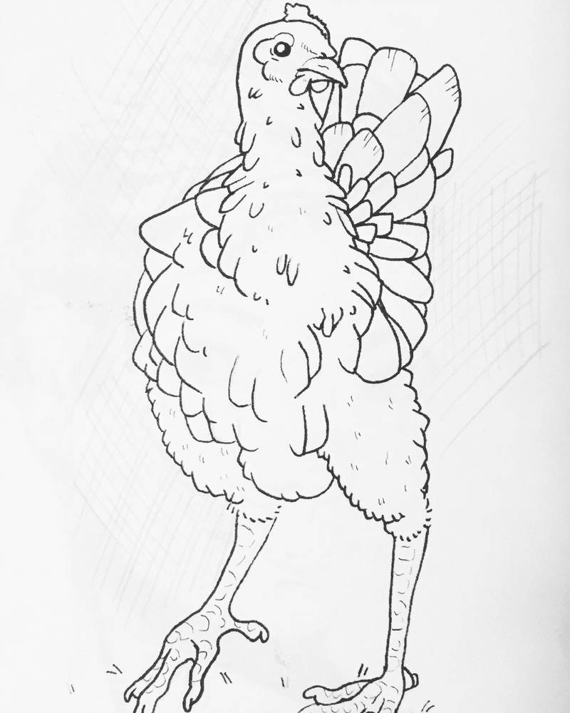 800x1000 Inktober Chicken - Dog Bowl Drawing