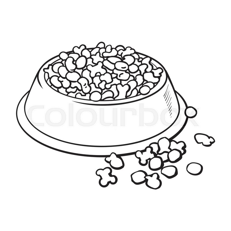 800x800 Blue Shiny Plastic Bowl Filled With Stock Vector Colourbox - Dog Bowl Drawing