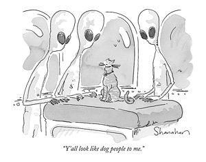 300x235 Dog Cat Drawings Fine Art America - Dog Cat Drawing