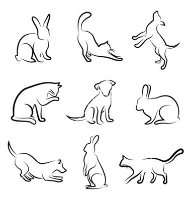 380x400 dog cat rabbit animal drawin vector image on animals + petitions - Dog Cat Drawing