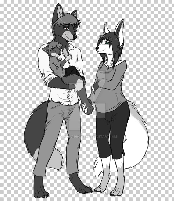 728x840 cat furry fandom drawing family dog, cat png clipart free - Dog Cat Drawing