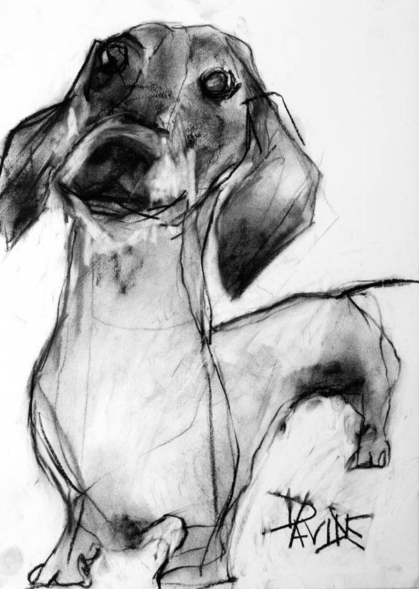 600x844 Charcoal Dog Portraits - Dog Charcoal Drawing