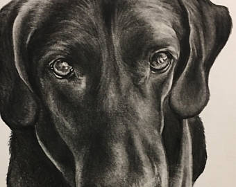 340x270 Dog Charcoal Drawing Etsy - Dog Charcoal Drawing