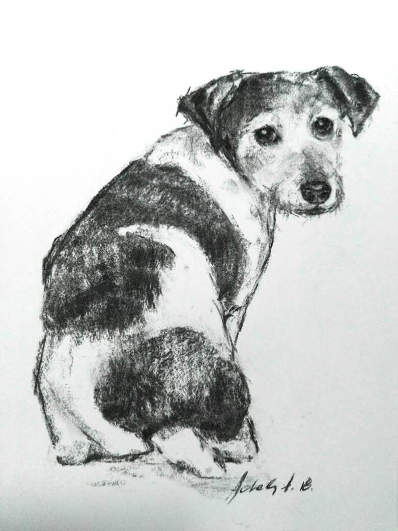 Dog Charcoal Drawing at Explore collection of Dog