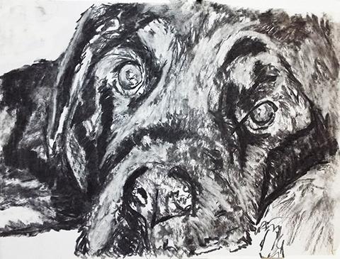 480x365 Black Lab Dog Art Charcoal Drawing Print Lab Dog Wall Art Gift - Dog Charcoal Drawing