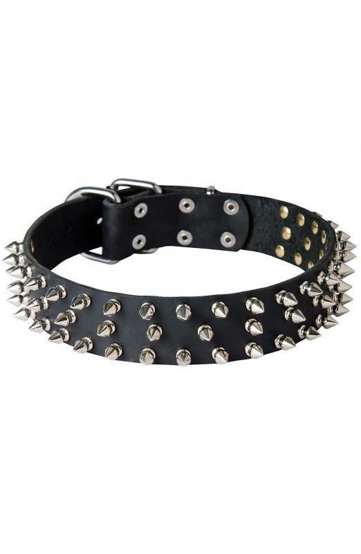 522x800 leather dog collars with spikes - Dog Collar Drawing