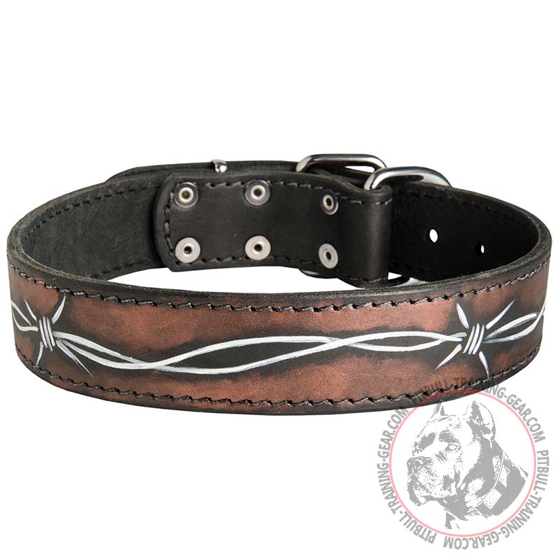 800x800 purchase handpainted leather pitbull collar dog walking gear - Dog Collar Drawing