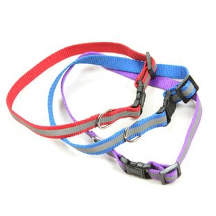 310x310 pet products drawing rope fluorescence necklet pet collar - Dog Collar Drawing