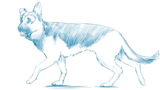 320x180 How To Draw A Dog Creative Bloq - Dog Drawing