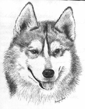 340x438 Dog Art - Dog Drawing Art