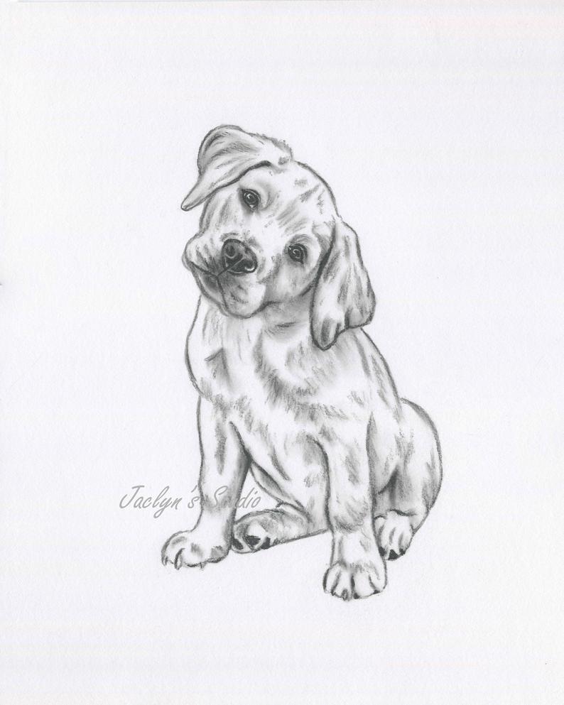 794x993 golden lab art lab drawing original drawing lab sketch dog etsy - Dog Drawing Art