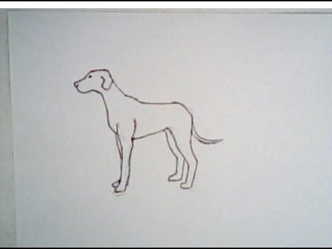 480x360 How To Draw A Dog - Dog Drawing Art