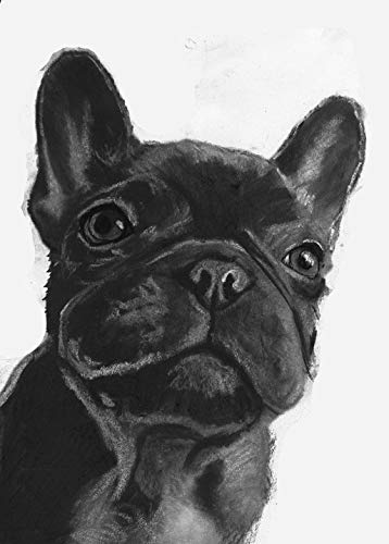 358x500 Black French Bulldog Drawing, Frenchie Owner Gift - Dog Drawing Art