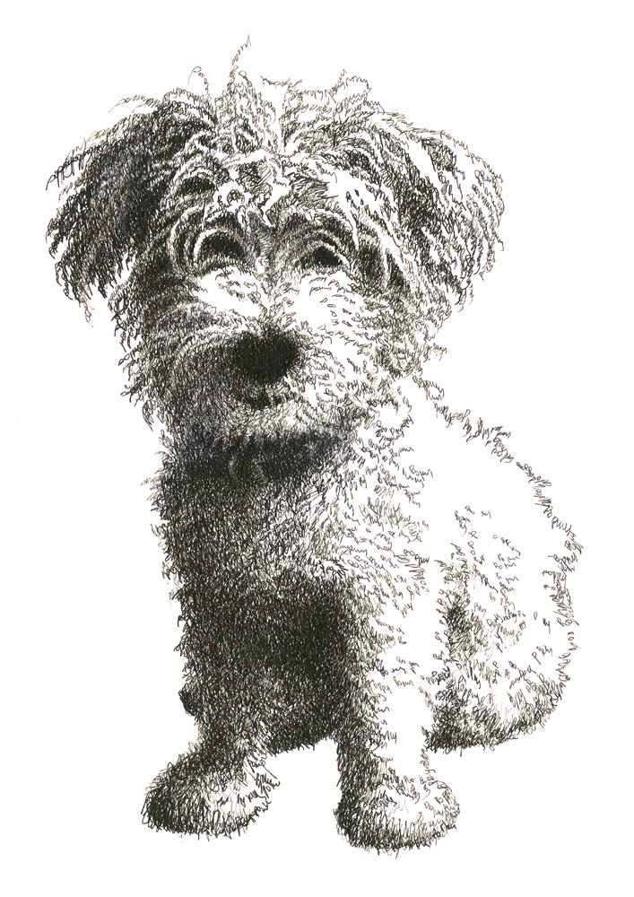 707x1000 Anti Art Pets Line Drawings Of Dogs And Cats - Dog Drawing Art