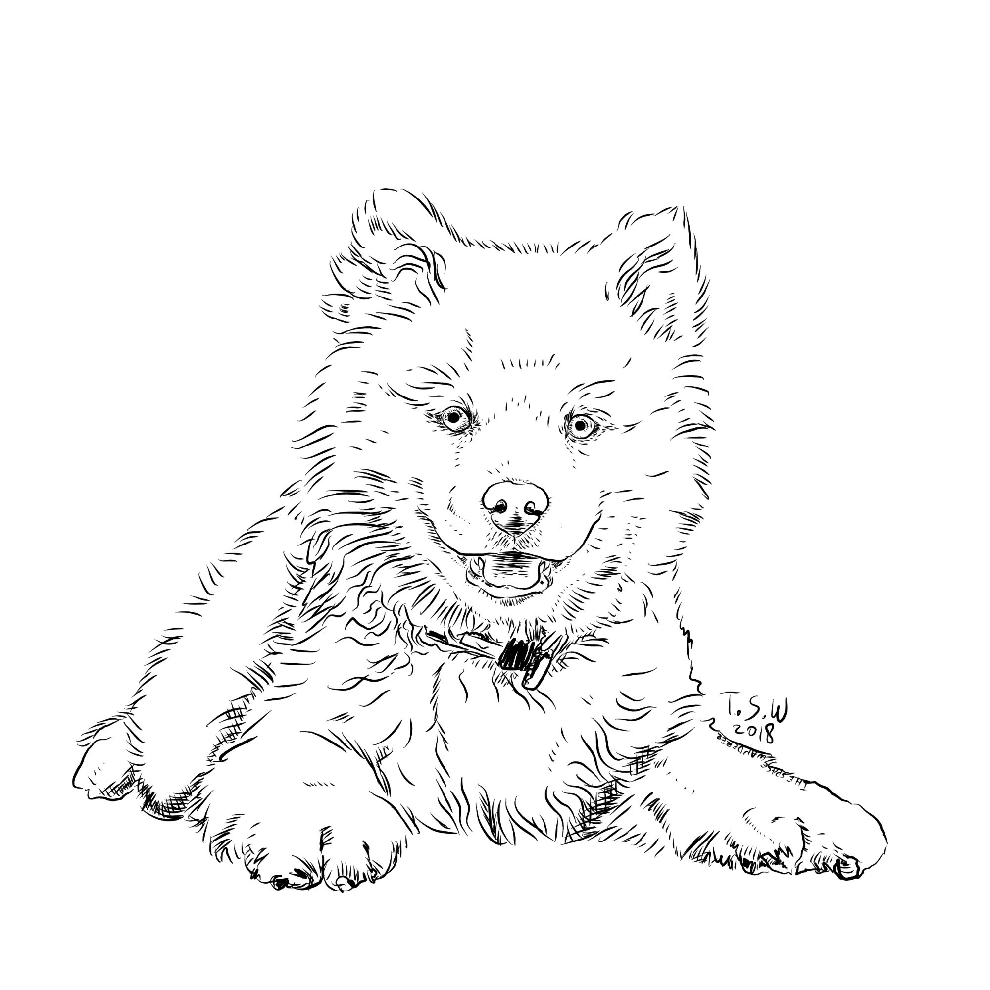 2000x2000 Free Coloring Book Dogs Themed The Space Wanderer - Dog Drawing Book