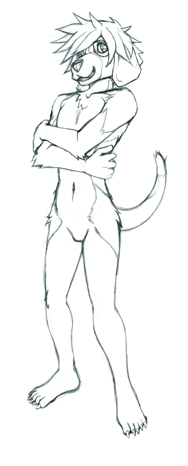 600x1481 How To Draw A Dog Furry - Dog Drawing Book