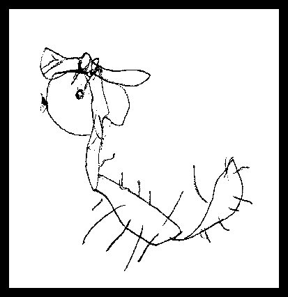 413x426 horrible kid drawings of dogs amazing doggies - Dog Drawing For Kids