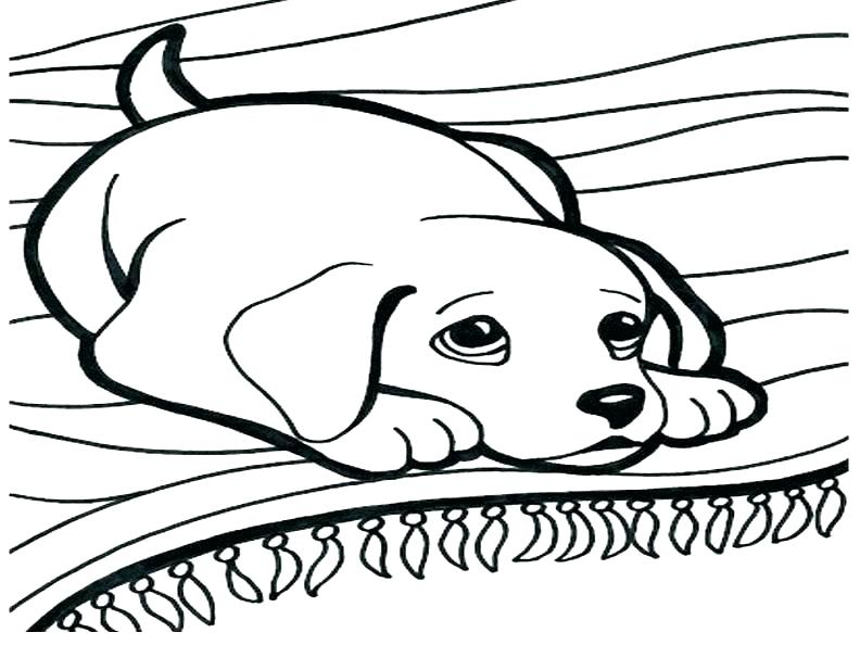 792x594 cat coloring games dog coloring games dog and cat coloring pages - Dog Drawing Games