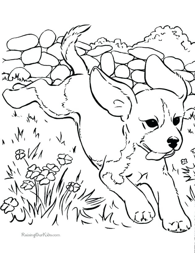 631x820 Dog Coloring Pages Games Puppy Dogs Draw A Puppies To Color - Dog Drawing Games