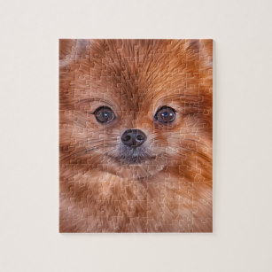 307x307 Dog Drawing Toys And Games Zazzle Ca - Dog Drawing Games