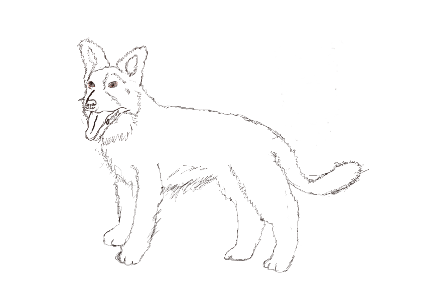 841x595 dog drawing inu games - Dog Drawing Games