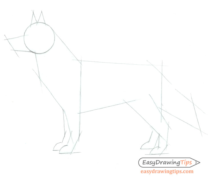 728x626 How To Draw A Dog Step - Dog Drawing Images
