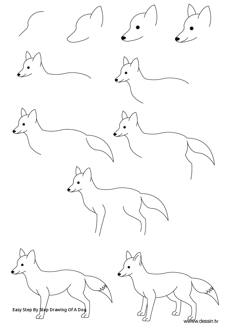 736x1040 cute dog drawing easy coloring pages cute animals enchantinga cute - Dog Drawing Pages