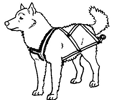 378x333 Snow Dogs Coloring Pages - Dog Drawing Pages