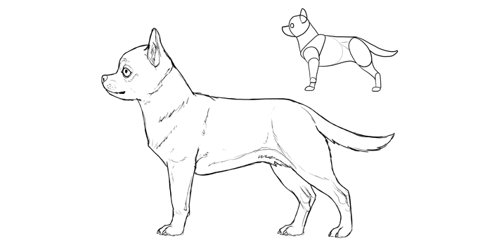 700x357 How To Draw A Dog Details Make The Difference - Dog Drawing Pics