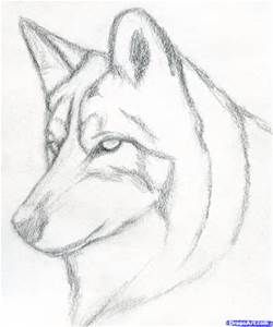 250x300 How To Draw A Dog Face - Dog Drawing Pics