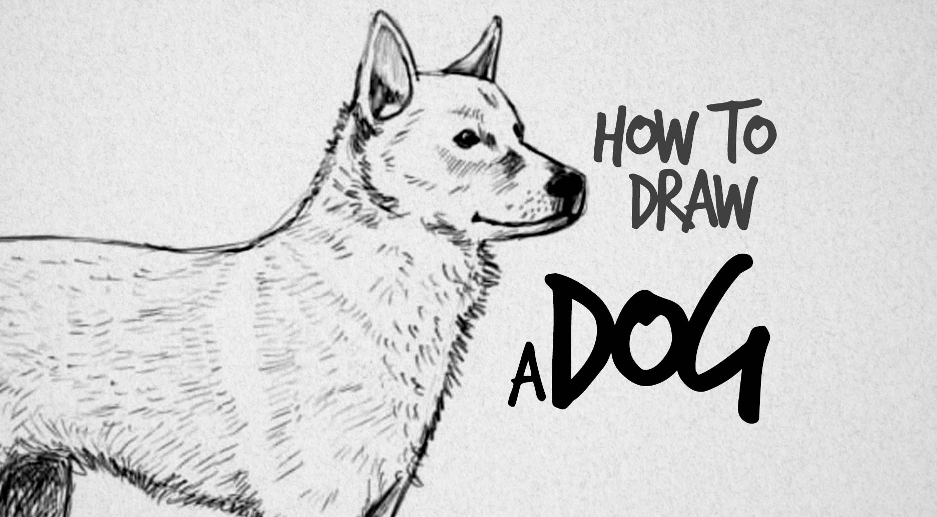1873x1035 How To Draw Dog - Dog Drawing Pics