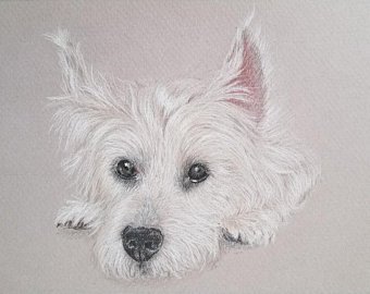 340x270 Custom Dog Drawing Etsy - Dog Drawing Pics