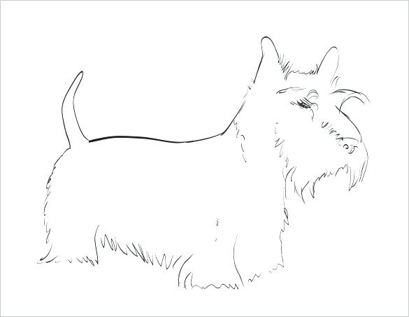 585x453 scottie dog coloring - Dog Drawing Template