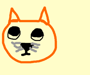 300x250 Fox Looking - Dog Eyes Drawing