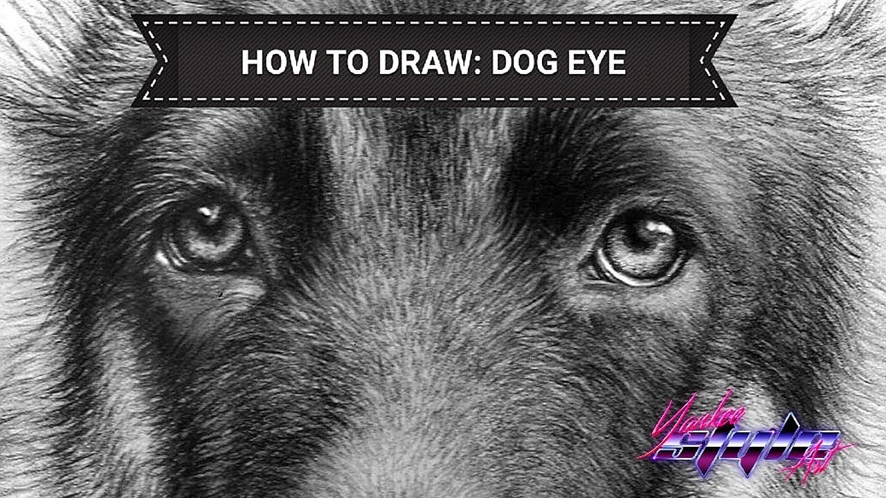 1280x720 How To Draw - Dog Eyes Drawing