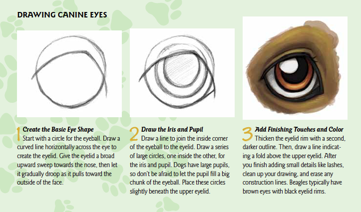 723x425 National Dog Day How To Draw A Dog Face - Dog Eyes Drawing