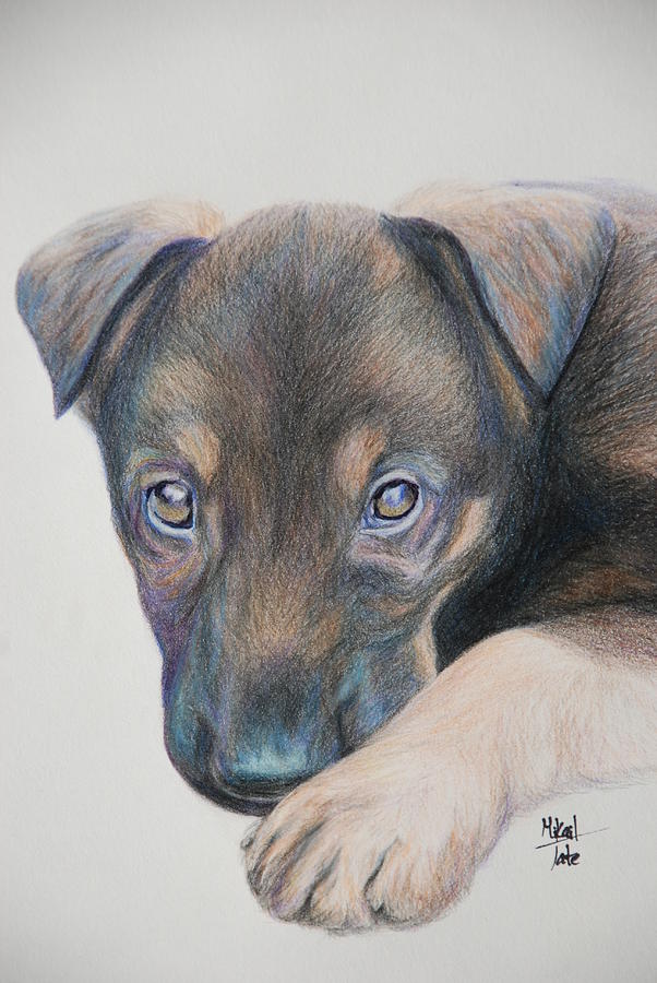 602x900 Puppy Dog Eyes Drawing - Dog Eyes Drawing