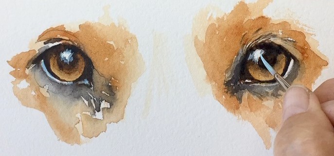 687x322 Sws Tips - Dog Eyes Drawing
