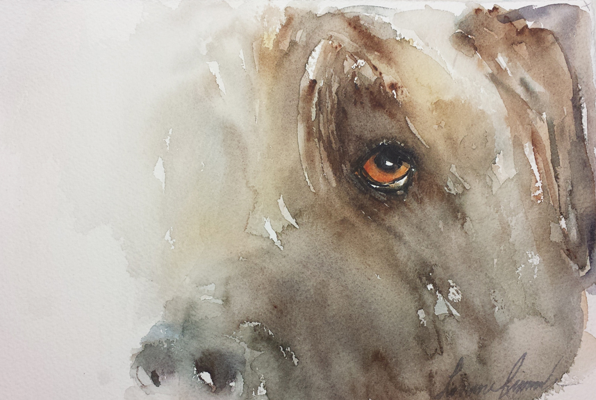 858x576 Dog Eyes In Watercolor Paint With Me - Dog Eyes Drawing