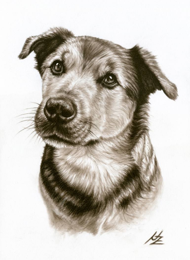 770x1056 Dogs Eyes Drawing - Dog Eyes Drawing