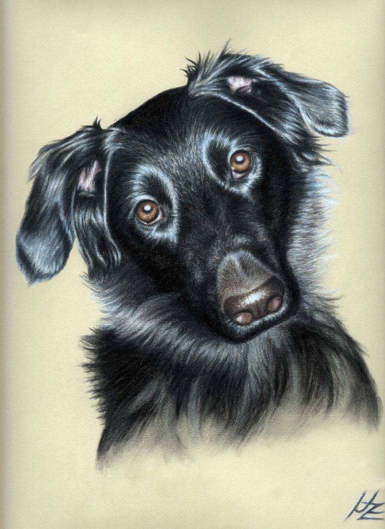 770x1056 Dogs Eyes Ii Drawing - Dog Eyes Drawing