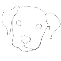 Dog Face Cartoon Sketch - Since it is a cartoon, it is not limited by