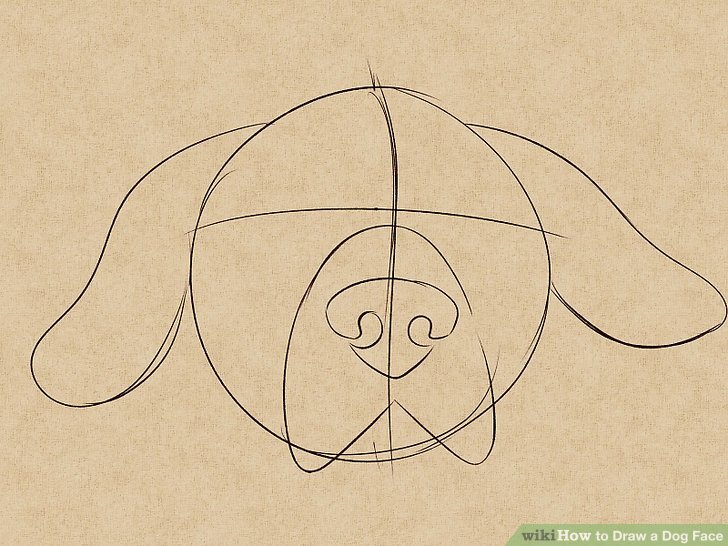 728x546 How To Draw A Dog Face - Dog Face Drawing