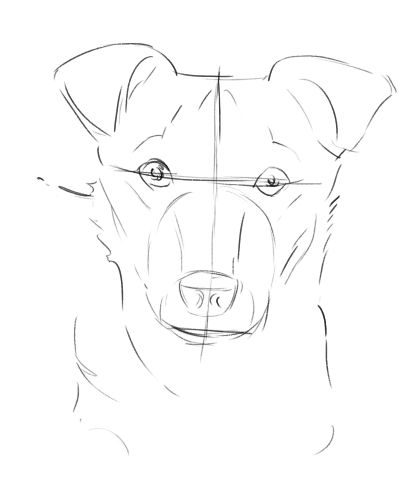418x500 Learn How To Draw Your Dog's Portrait Paveiksliukai Drawings - Dog Face Drawing