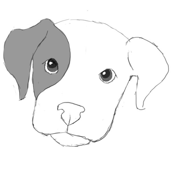 600x600 Learn How To Draw A Dog In Photoshop - Dog Face Drawing