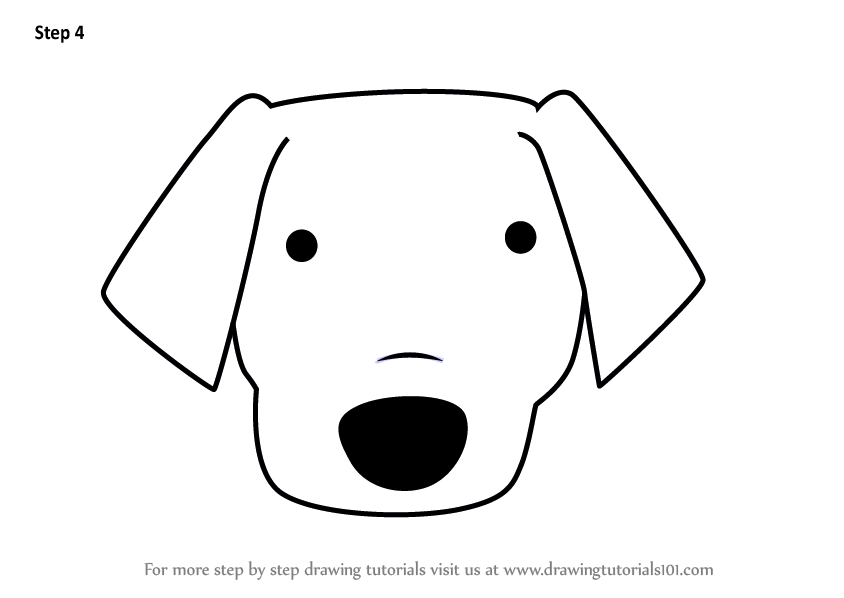 844x598 Learn How To Draw A Labrador Dog Face For Kids - Dog Face Drawing
