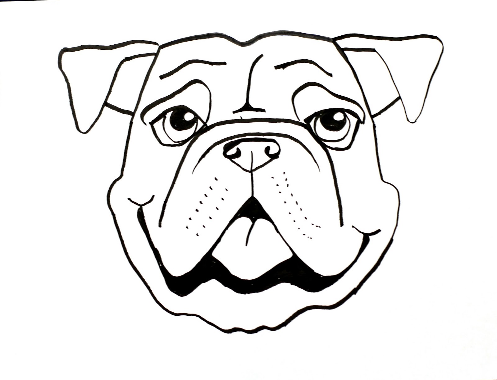 1600x1224 Smart Class Bull Dog Draw A Long - Dog Face Drawing